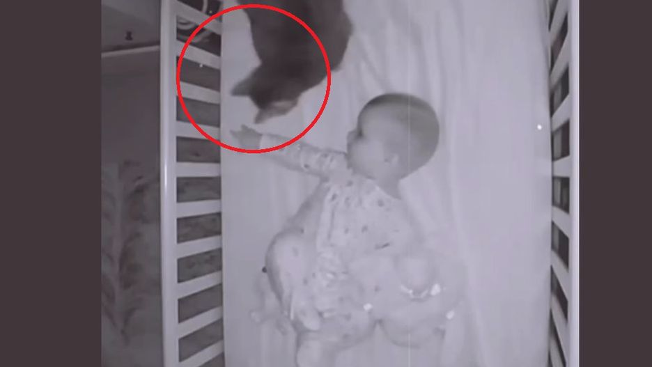 Kot pilnuje dziecka niczym niania