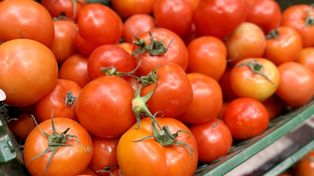 Pomidory malinowe pod lupą. Zbadali warzywa z polskich dyskontów