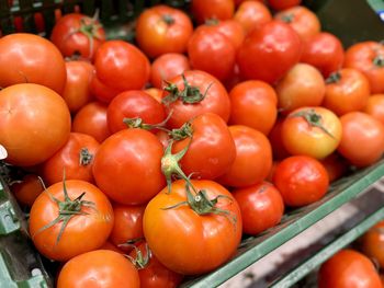 Pomidory malinowe pod lupą. Zbadali warzywa z polskich dyskontów