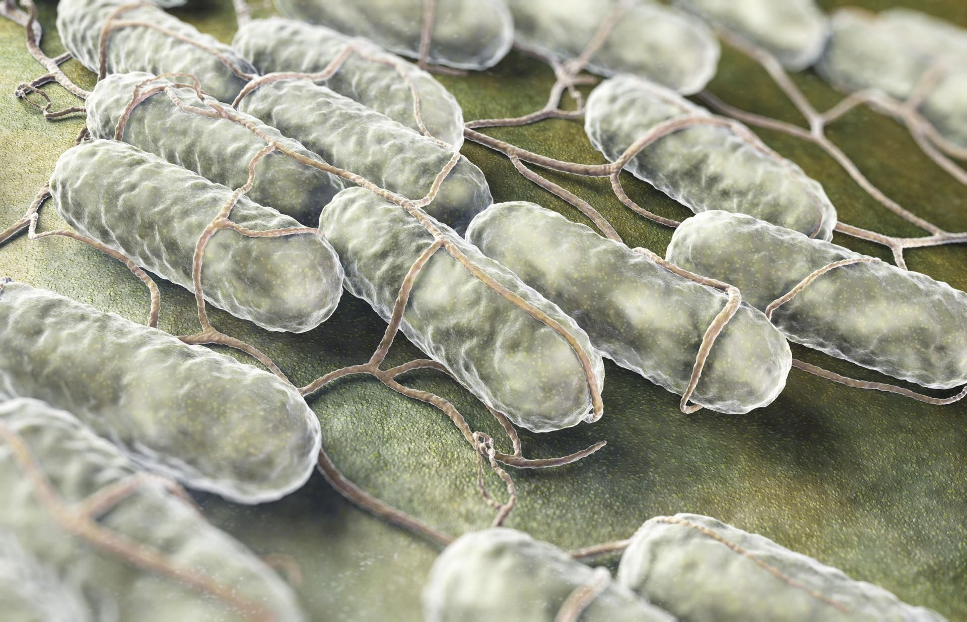 Biegunka wywołana rotawirusami jest zaraźliwa