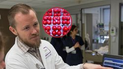 Neurolog mówi, co je dla mózgu. Tania ochrona przed udarem