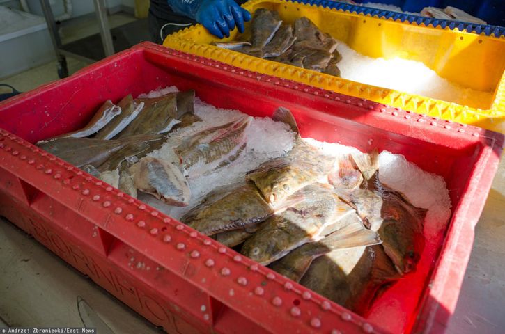 Jaką rybę warto zjeść nad polskim morzem?