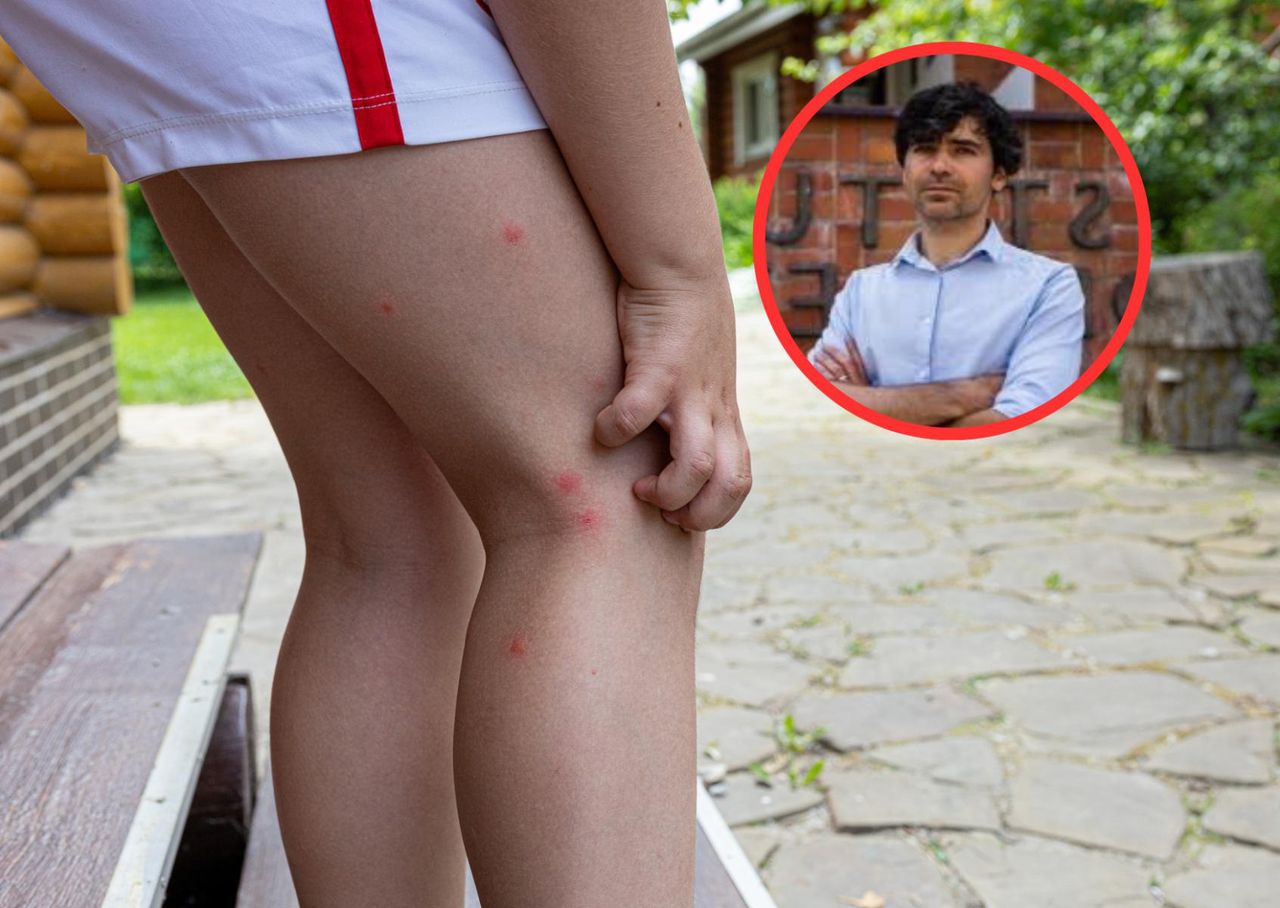 Wirus chikungunya jest w Polsce. Ekspert mówi, jakie daje objawy