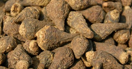 Gwiazdy uwielbiają ten superfood. Poprawia pamięć i działa jak paliwo w sypialni