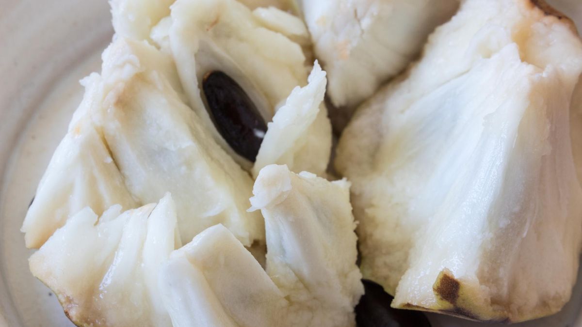 Cherimoya ( Flaszowiec peruwiański)