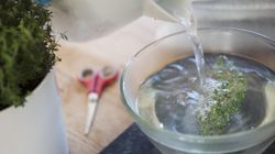 Najlepsze napoje dla wątroby. Będzie pracować pełną parą