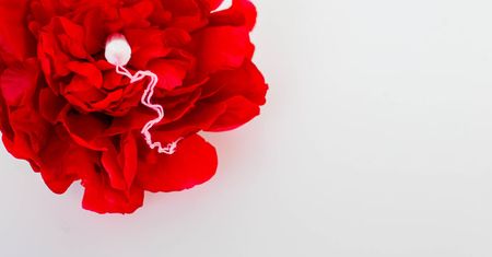 Dlaczego kobiety krwawią podczas miesiączki?