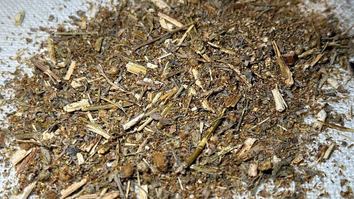 Piołun to roślina z silnym składem i mocnym działaniem.