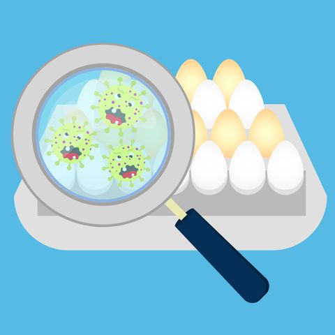 Salmonella może znajdować się na skorupkach jaj