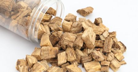 Kudzu root – właściwości i zastosowanie