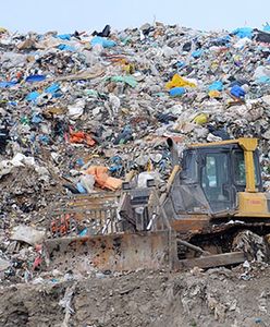 Mafie robią miliardowe interesy na handlu... śmieciami