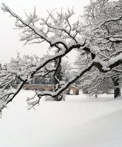 Atak zimy w Polsce do wieczora ma się skończyć