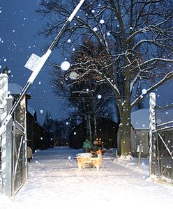 Piąty z zatrzymanych organizatorem kradzieży w Auschwitz