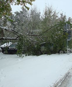 Zima nie odpuści przez najbliższe dni