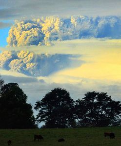 Wulkan paraliżuje ruch na niebie - odwołano wszystkie loty
