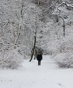 Prognoza pogody- co przyniosą najbliższe dni