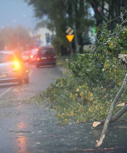 Idą wichury. Wiatr będzie łamał drzewa, zrywał dachy