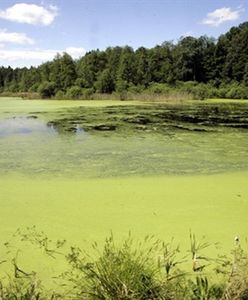 Greenpeace: dziś debata i decyzja, co dalej z protestem