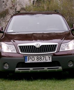 Skoda w kamaszach - Octavia Scout