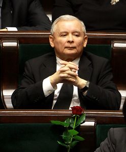 "Kaczyński światłem w tunelu? Nie dla mnie"