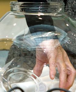 "Stop! Na nich nie głosujemy"