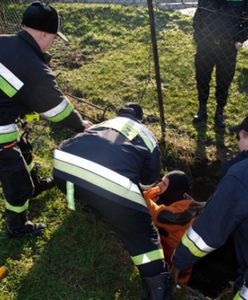 7-latek wpadł do studni. Szukało go ponad 200 osób