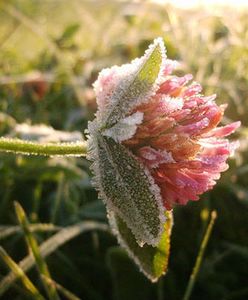 Jaki będzie początek tygodnia? Sprawdź prognozę