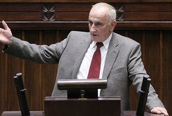 PSL pokonało PO w walce o lasy