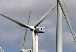 Świat coraz więcej inwestuje w energię odnawialną