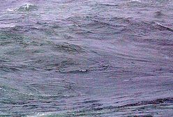 Prokuratura nie zleci poszukiwań nurka z "Heweliusza"