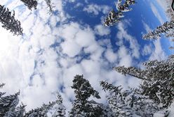 Nadchodzą rekordowe mrozy