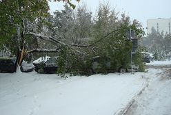 Zima nie odpuści przez najbliższe dni