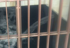 Przestaną wypuszczać radioaktywną wodę do oceanu