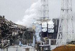 "Fukushima może być gorsza niż Czarnobyl"