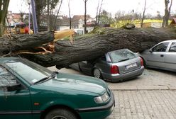 Niszczycielskie wichury nad Polską - sześć osób rannych