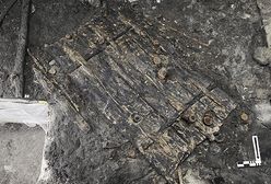 Takich drzwi Europa jeszcze nie widziała