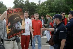 Albańczycy wycinali Serbom narządy by je sprzedać?