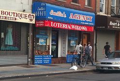 Oni nie mają szans, nie dostaną zielonej karty