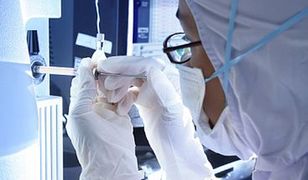 Brakuje pracy dla polskich specjalistów