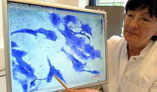 Ponad 1500 zakażonych - kolejny Polak ofiarą bakterii?