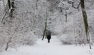 Prognoza pogody- co przyniosą najbliższe dni