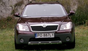 Skoda w kamaszach - Octavia Scout