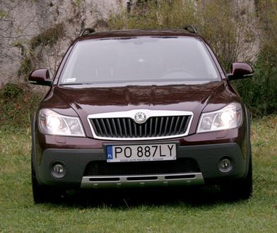 Skoda w kamaszach - Octavia Scout