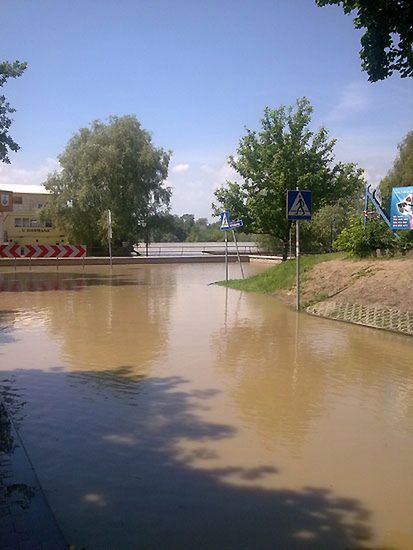 Obraz