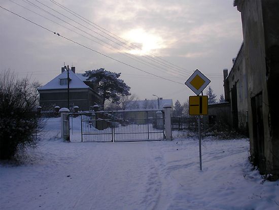 Obraz