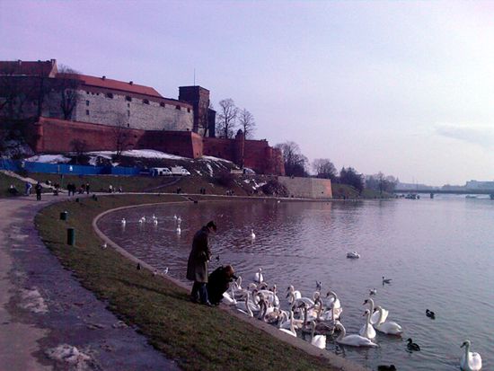 Obraz