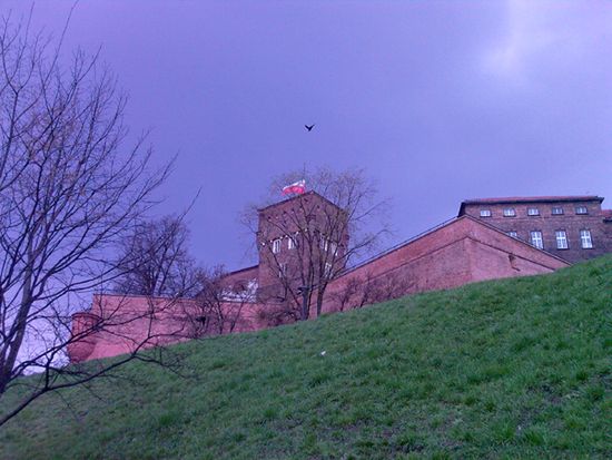 Obraz