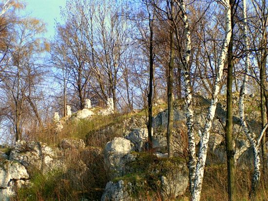 Obraz