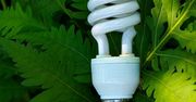 Sukces ekologów - nie wolno produkować żarówek