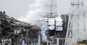 "Fukushima może być gorsza niż Czarnobyl"